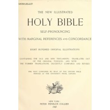 New Illustrated Holy Bible